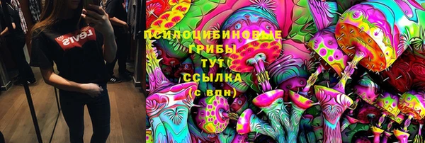 спайс Краснослободск
